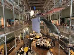 National Museum of Scotland