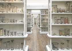 Surgeons’ Hall Museums