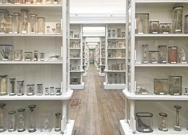 Surgeons’ Hall Museums