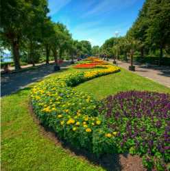 Sea Garden