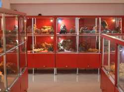 National Museum of Crystals and Minerals