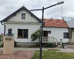 Museum House 