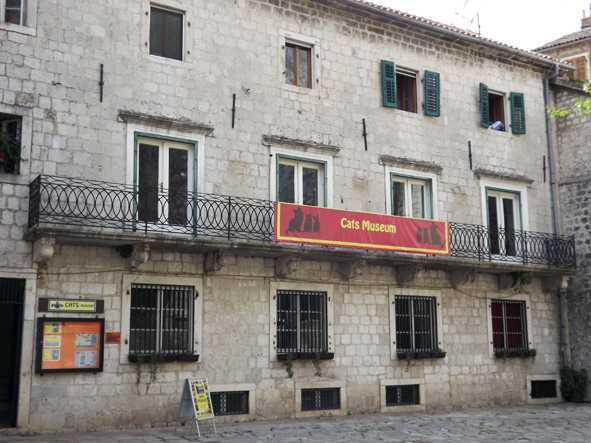 Kotor Cats Museum