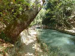 Rodini Park
