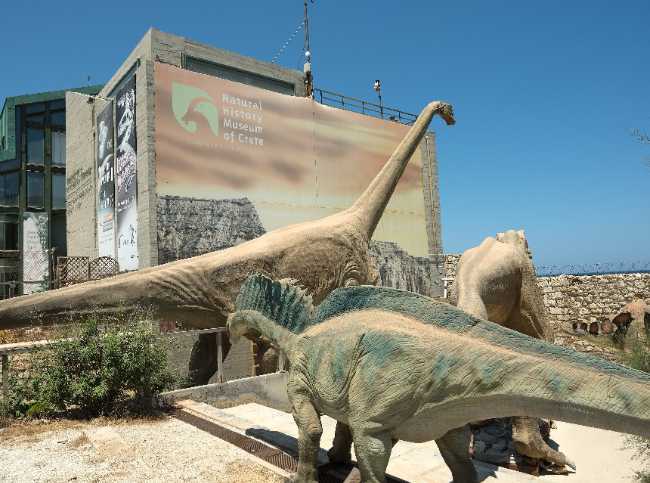 Natural History Museum of Crete