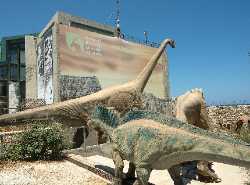 Natural History Museum of Crete