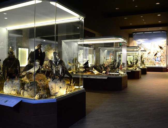 Museum of Natural History of Meteora & Mushroom Museum
