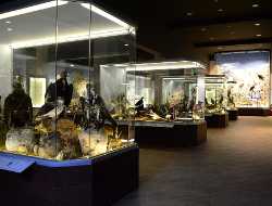 Museum of Natural History of Meteora & Mushroom Museum