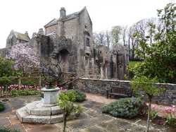 National Trust - Compton Castle