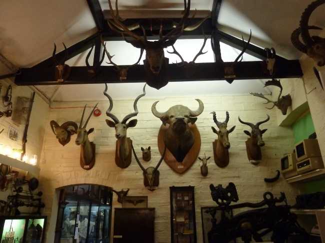 Ilfracombe Museum