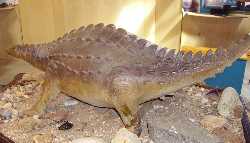 Charmouth Heritage Coast Centre