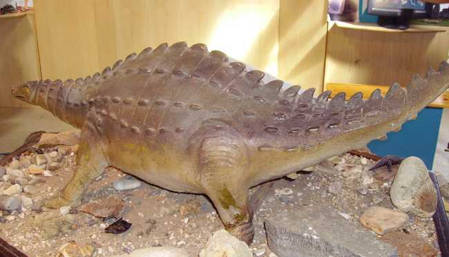 Charmouth Heritage Coast Centre