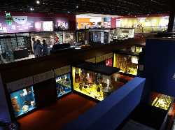 Oriental Museum