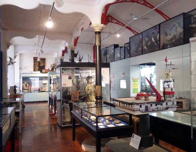 Bexhill Museum
