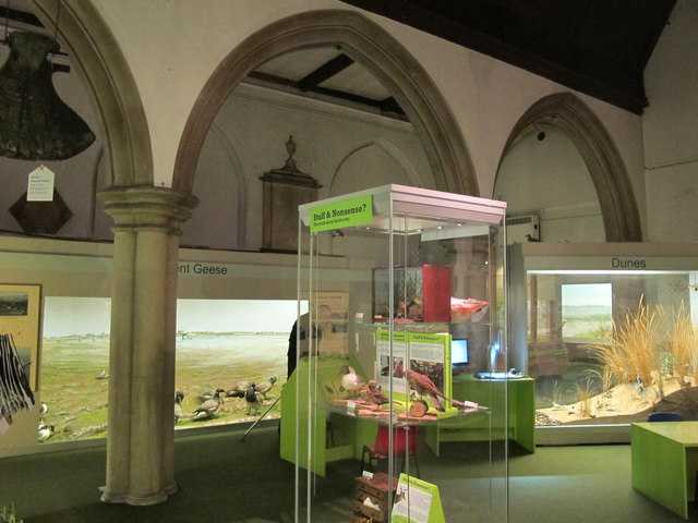 Colchester Natural History Museum
