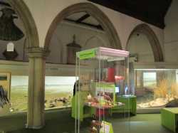 Colchester Natural History Museum