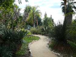 Jardin botanique de Nice