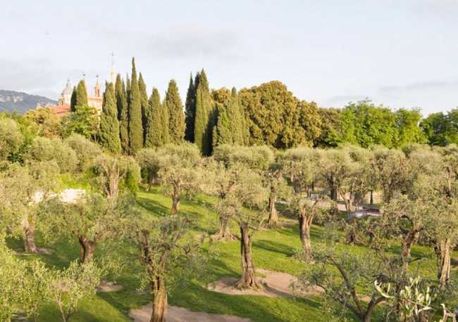 Jardin des Arènes de Cimiez