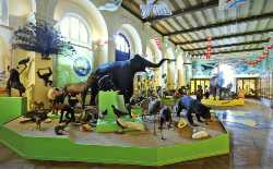 Natural History Museum of Marseille