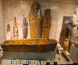 Musée d’Archéologie Méditerranéenne