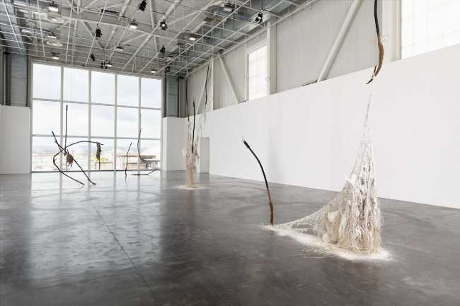 Triangle‑Astérides