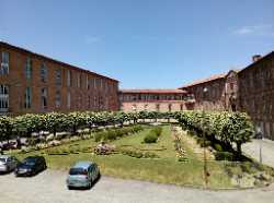 Musée de l'Histoire de la Médecine