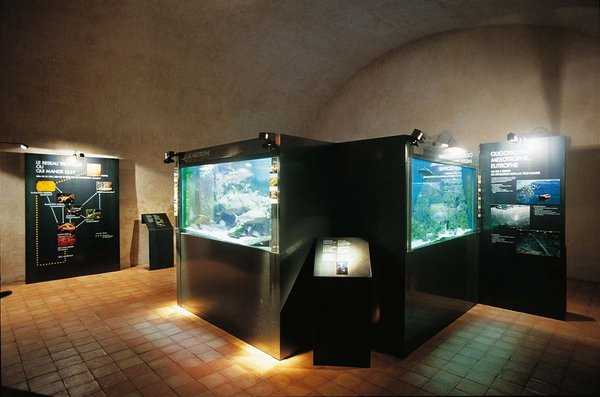 Espace Archéologie et environnement du lac d'Annecy