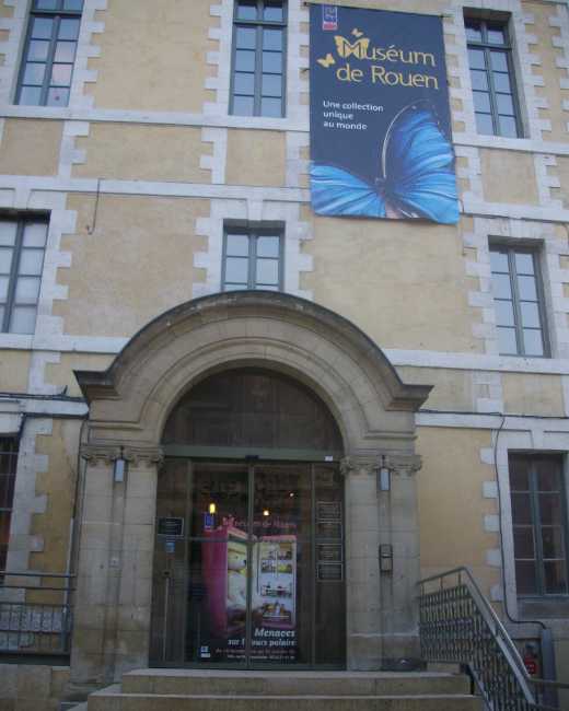 Natural History Museum Rouen