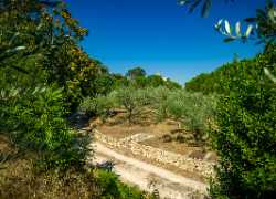 Jardin Georges Pompidou
