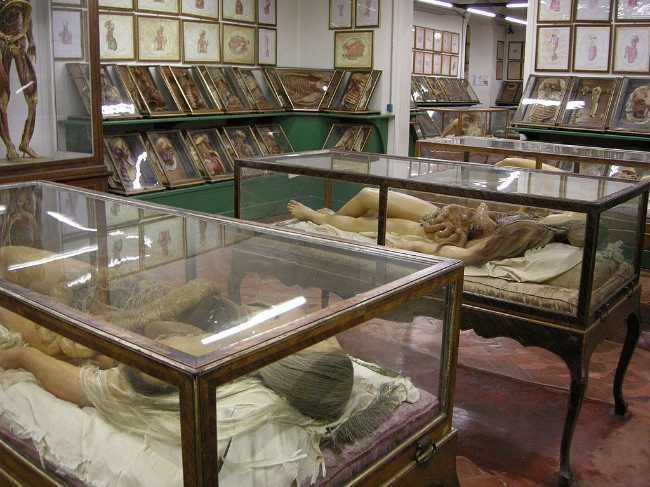 Museum of Natural History, La Specola