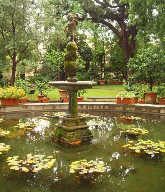 Orto Botanico Giardino dei Semplici