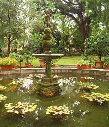 Orto Botanico Giardino dei Semplici