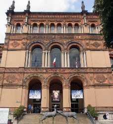Milan Natural History Museum