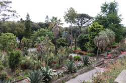 Orto Botanico di Napoli
