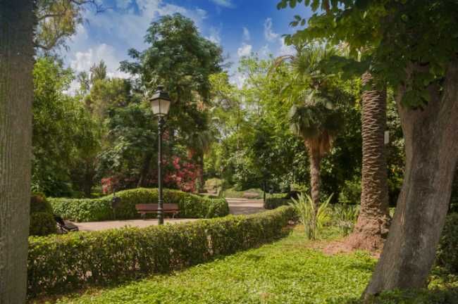 Jardín de Ayora
