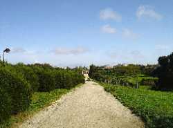 Parque da Cidade do Porto