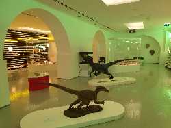 Museu de História Natural de Sintra