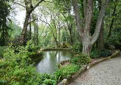 Parque da Pena