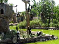 Zoo de Lagos