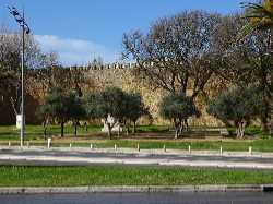 Jardim da Constituição