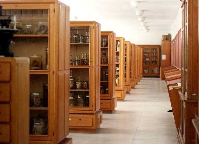 Museu do Instituto de Anatomia Patológica