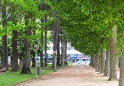 Parque Dr. Manuel Braga