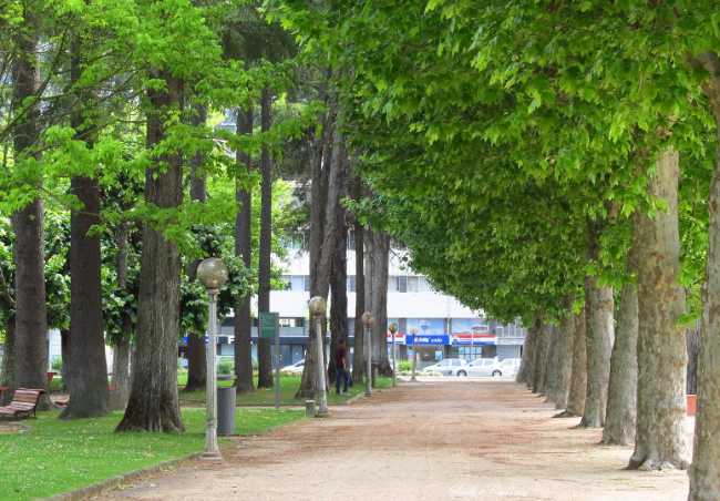 Parque Dr. Manuel Braga