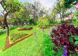 Jardim Municipal do Funchal