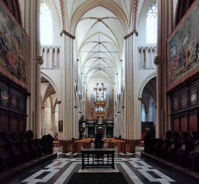 Sint‑Salvatorskathedraal