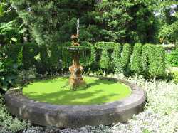 Botanical Garden Leuven