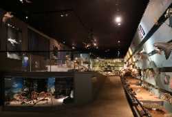 Museo di Storia Naturale