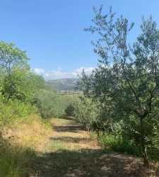 Giardino Botanico Marzana