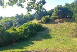 Parco delle Colombare