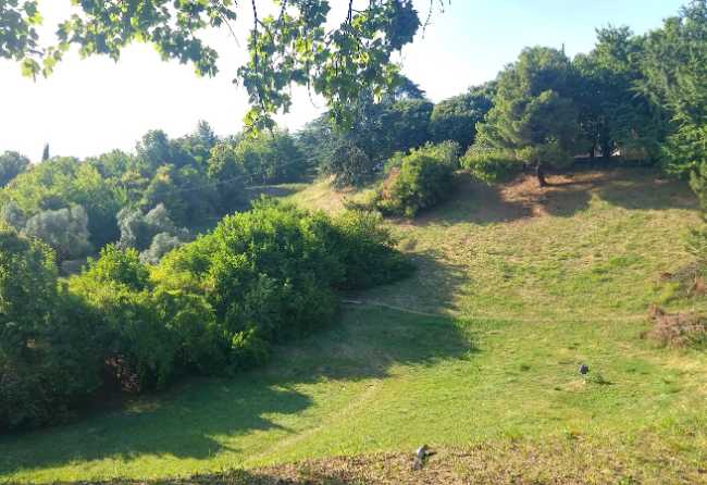 Parco delle Colombare